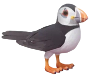 Atlantic Puffin in Heartopia