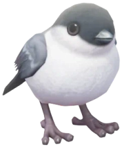 Azores Bullfinch in Heartopia
