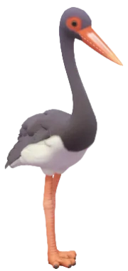 Black Stork in Heartopia