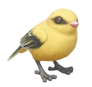 Eurasian Golden Oriole in Heartopia