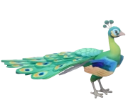 Green Peafowl bird image