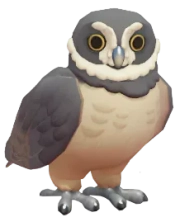 Spectacled Owl in Heartopia