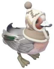 Winter Eurasian Wigeon
