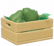 Avocado crop image