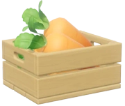 Carrot crop image