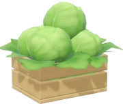 Lettuce crop image