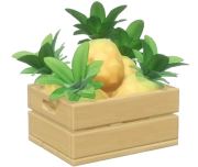 Pineapple crop image