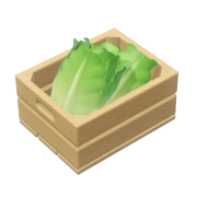 Romaine Lettuce crop image
