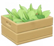 Tea Leaf crop image