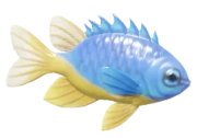 Azure Demoiselle fish image