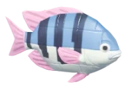 Blue Brick Clownfish fish image
