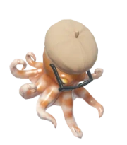 Director Pygmy Octopus w/ Brown Hat fish image