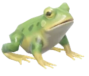 Edible Frog fish image