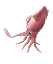 European Flying Squid fish image