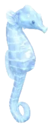 Frostspore Seahorse fish image