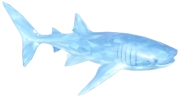 Frostspore Whale Shark fish image