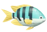 Green Brick Clownfish fish image