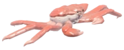 King Crab fish image