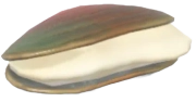 Large Pearl Mussel fish image