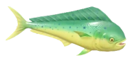 Mahi-Mahi fish image