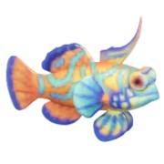 Mandarin Fish fish image