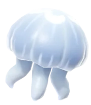 Moon Jelly fish image