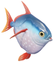 Moonfish fish image