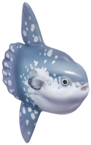 Ocean Sunfish fish image
