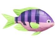Purple Brick Clownfish fish image