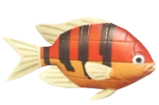 Red Brick Clownfish fish image