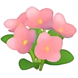 Pink Flower from Heartopia