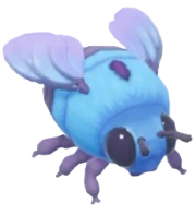 Cerulean Carpenter insect image