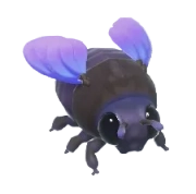 Splay-Footed Carpenter insect image