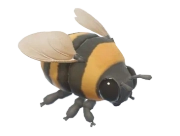 Bumblebee insect image