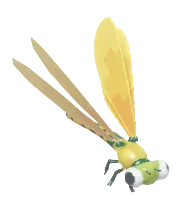 Yellow Brick Large Red Damselfly insect image