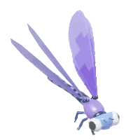 Purple Brick Large Red Damselfly insect image