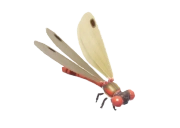 Large Red Damselfly insect image
