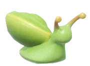 Green Snail insect image