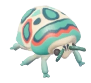 Picasso Bug insect image