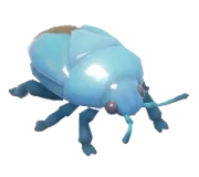 Blue Shieldbug insect image
