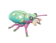 Green Tiger Beetle insect image
