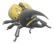 Hercules Beetle insect image