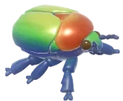Elegant Flower Beetle insect image