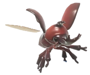 Horned Beetle insect image