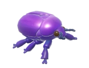 Amethyst Flower Beetle insect image