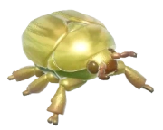 Golden Jewel Scarab insect image