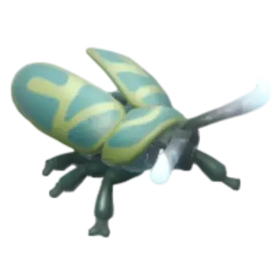 Grey-horned Firefly insect image
