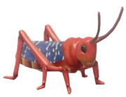 Red Milkweed Locust insect image