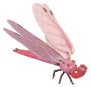 Crimson Marsh Glider insect image