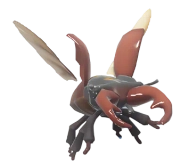 Stag Beetle insect image